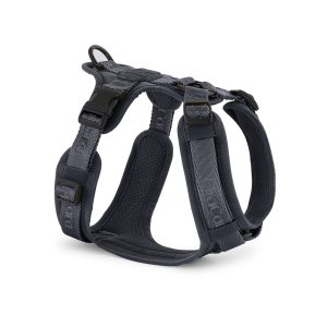 MiaCara - Modena Hundegeschirr