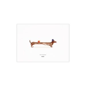 Paper Collective - Friends