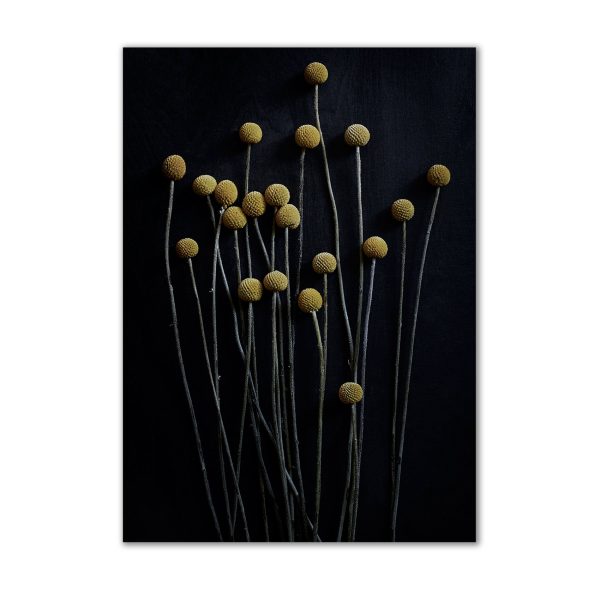 Paper Collective - Stillleben 01 (Yellow Drumstick)