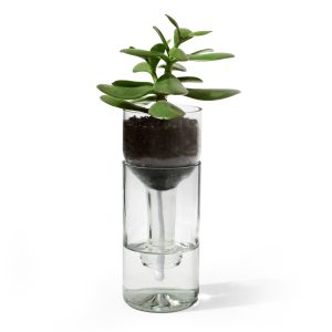 side by side - Self Watering Bottle Blumentopf