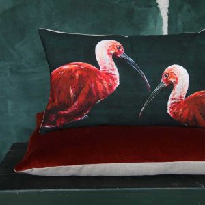 Kissen Ibis