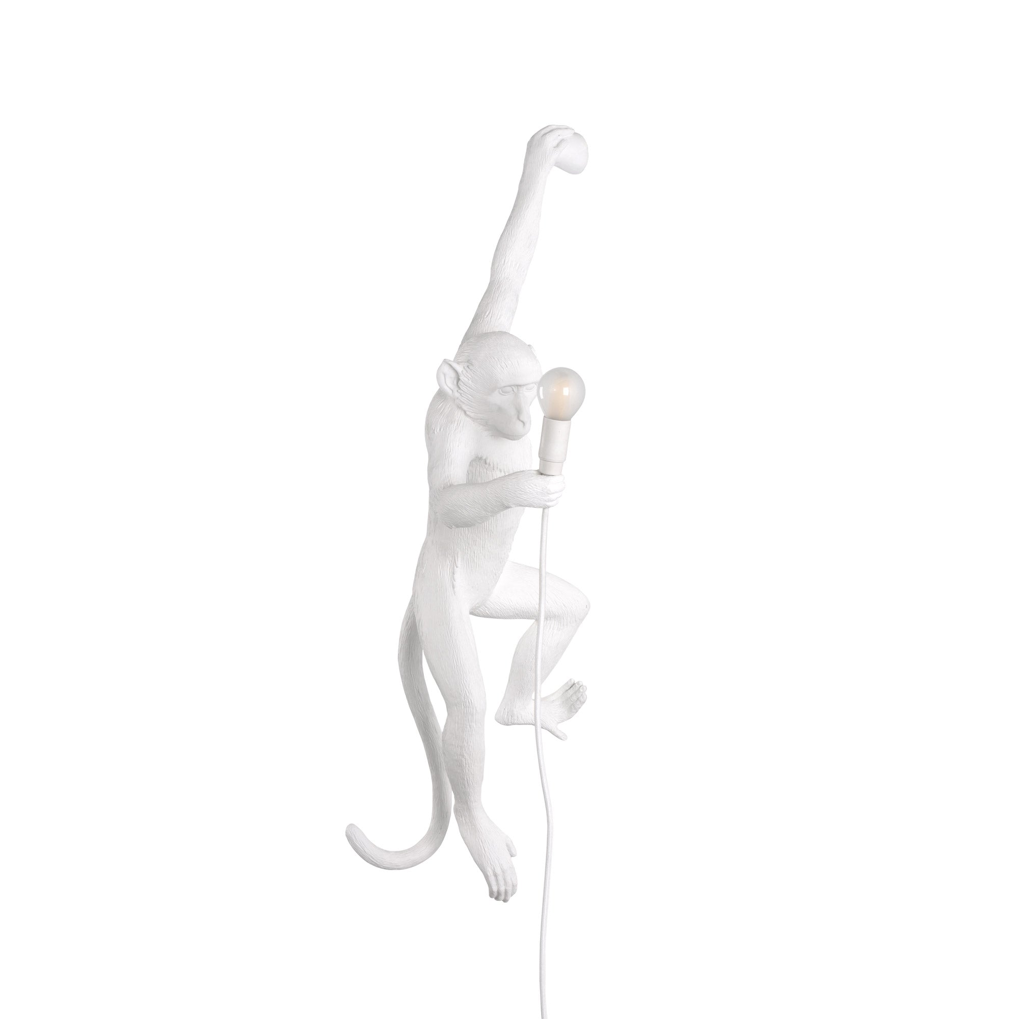 Seletti - Monkey Hanging Wandleuchte