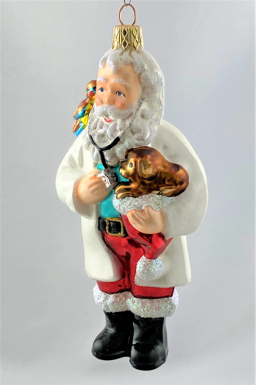 Impuls Santa als Tierarzt