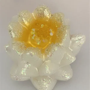 GMC Weisse Seerose, Wasserlilie, Lotusblume