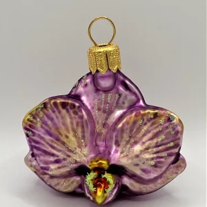 GMC Phalaenopsis violett, klein