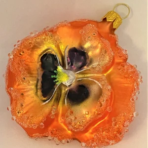 GMC Stiefmütterchen orange, Pansy