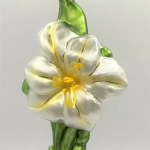 Hanco Weisser Amaryllis mit Zwiebel