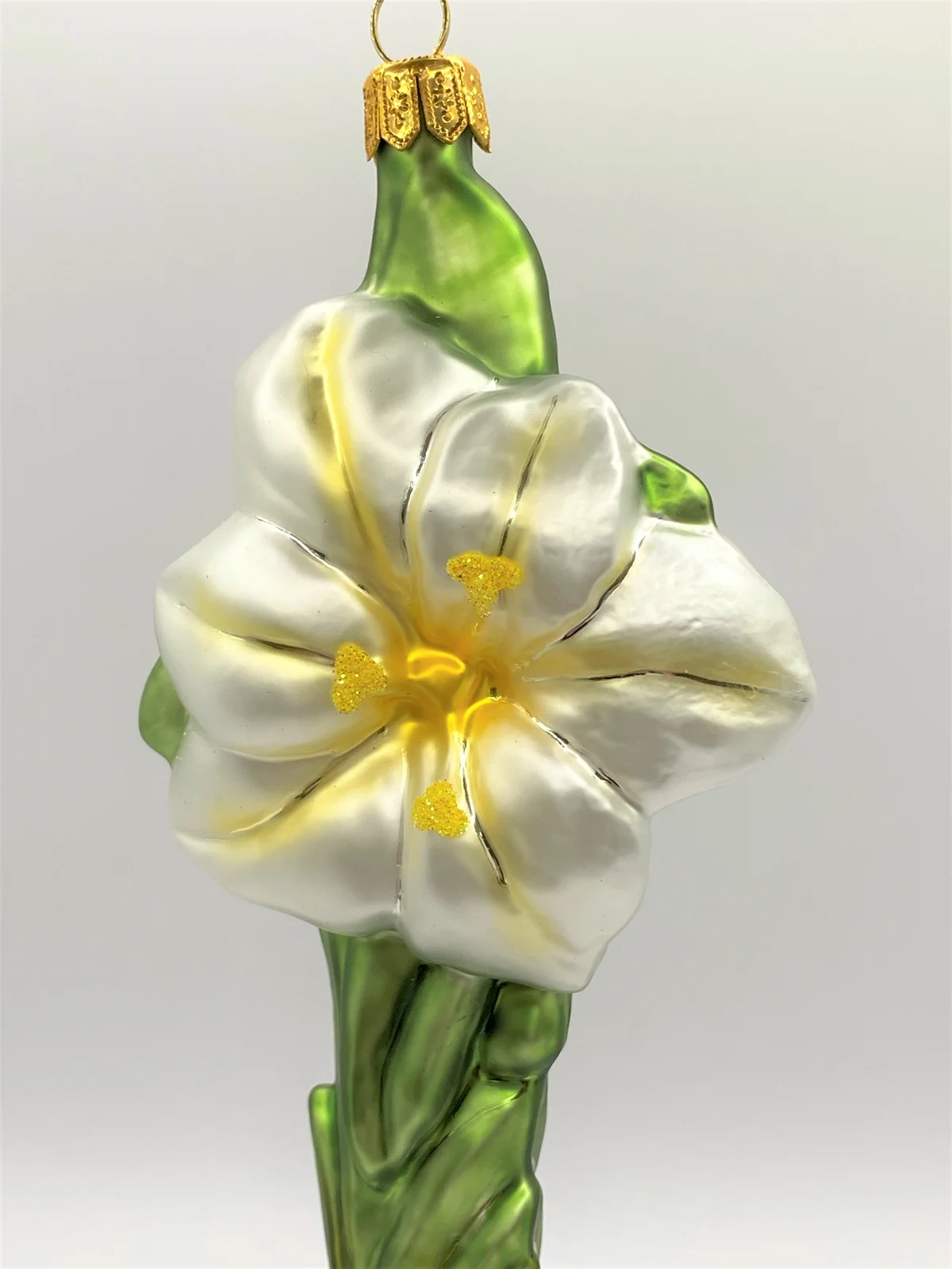 Hanco Weisser Amaryllis mit Zwiebel
