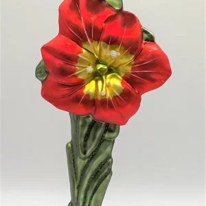 Hanco Roter Amaryllis mit Zwiebel