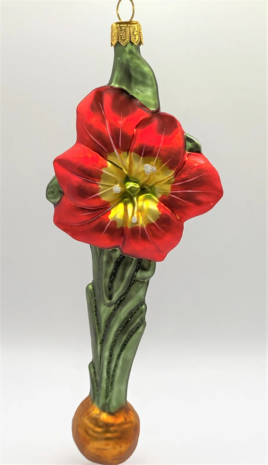 Hanco Roter Amaryllis mit Zwiebel