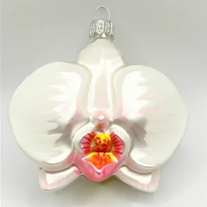 Hanco Phalaenopsis weiss mit rosa Lippe