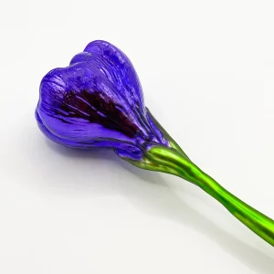 GMC Krokusblüte violett