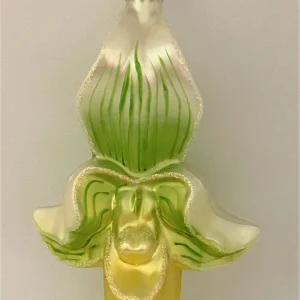 Hanco Cypripedium, Frauenschuh