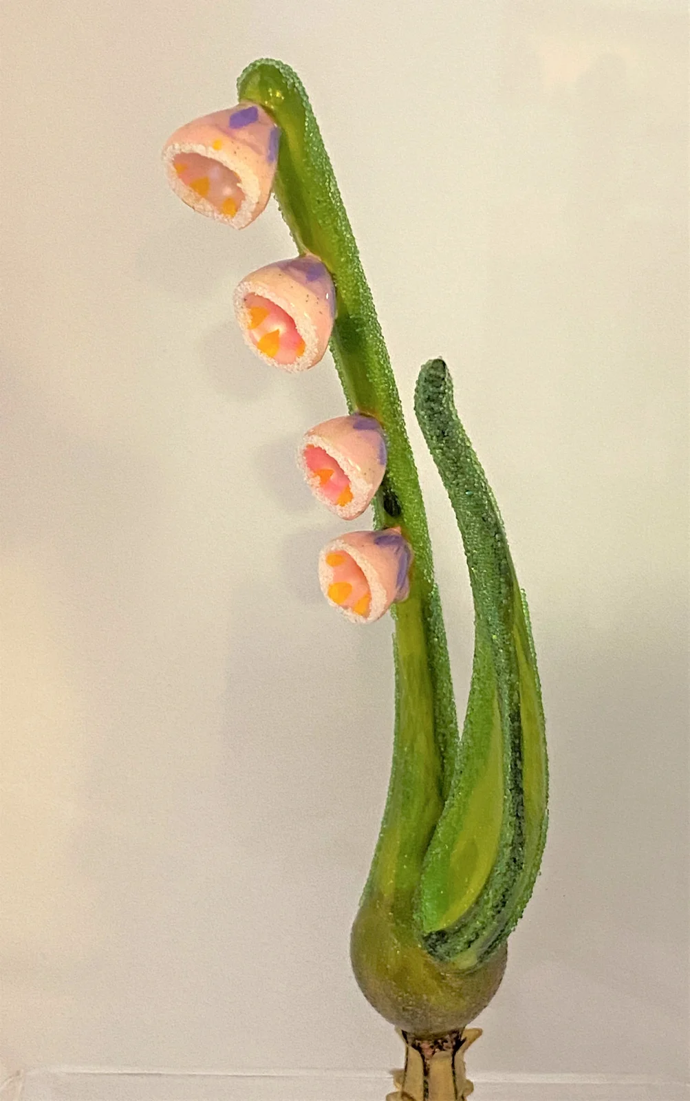 Wiktoria Rosa Blüten-Rispe auf Clip