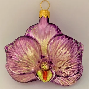 GMC Phalaenopsis lila