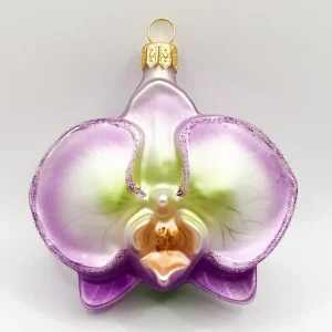 Hanco Phalaenopsis dunkles lila