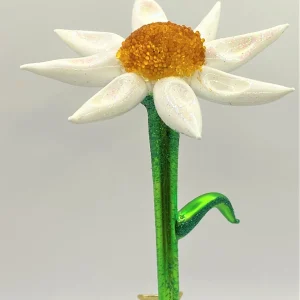Wiktoria Kamillenblüte auf Clip