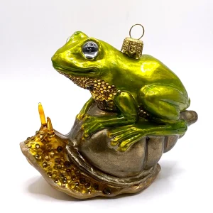Atlas Frosch sitzt auf der Schnecke, AtlasArt