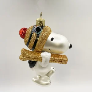 Vondels Snoopy geht Ski fahren