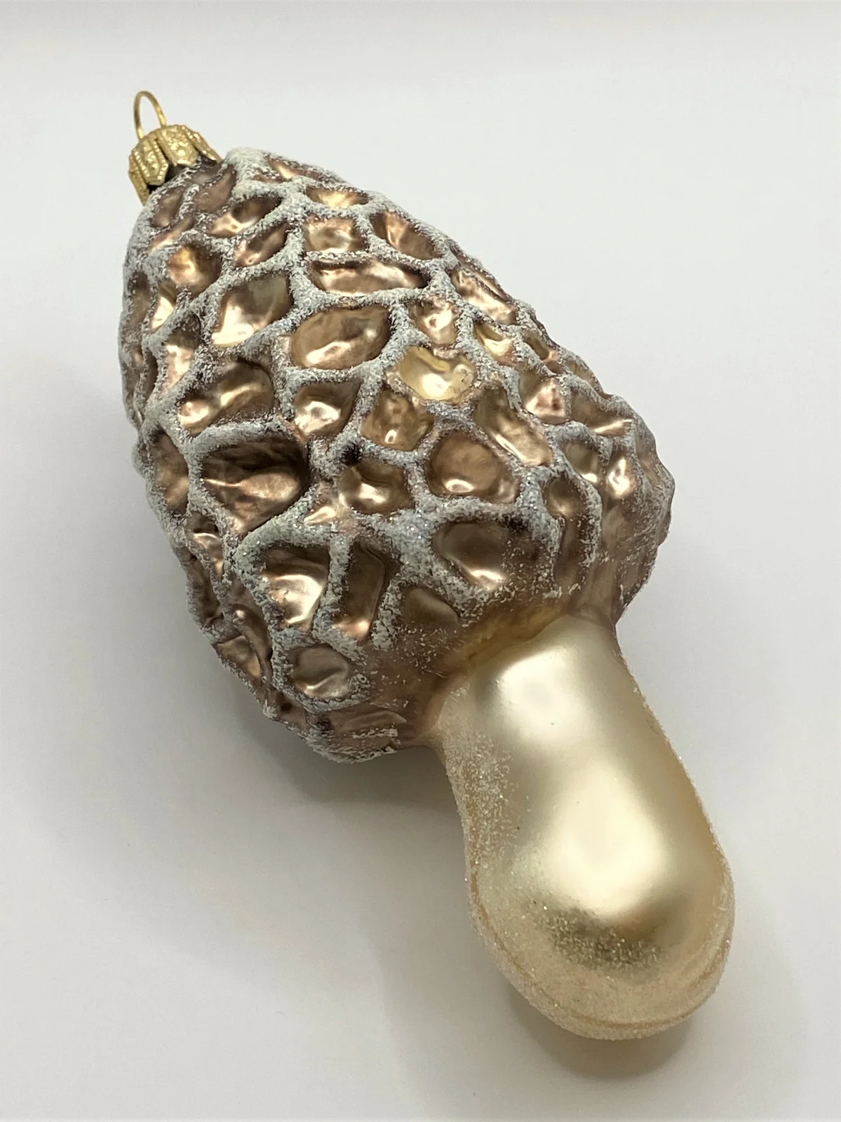 Impuls Morchel Pilz