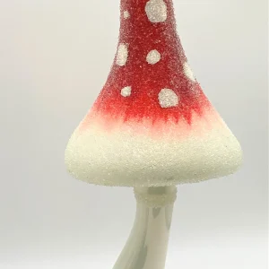 Wiktoria Grosser schmaler Fliegenpilz