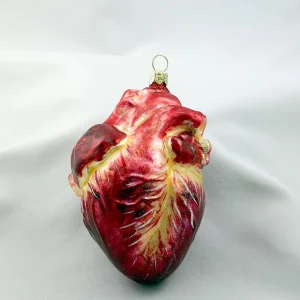 Wiktoria Anatomisches Herz