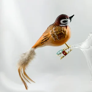 Thüringer Dicker Feld-Sperling, Feld-Spatz mit hellbrauner Naturfeder