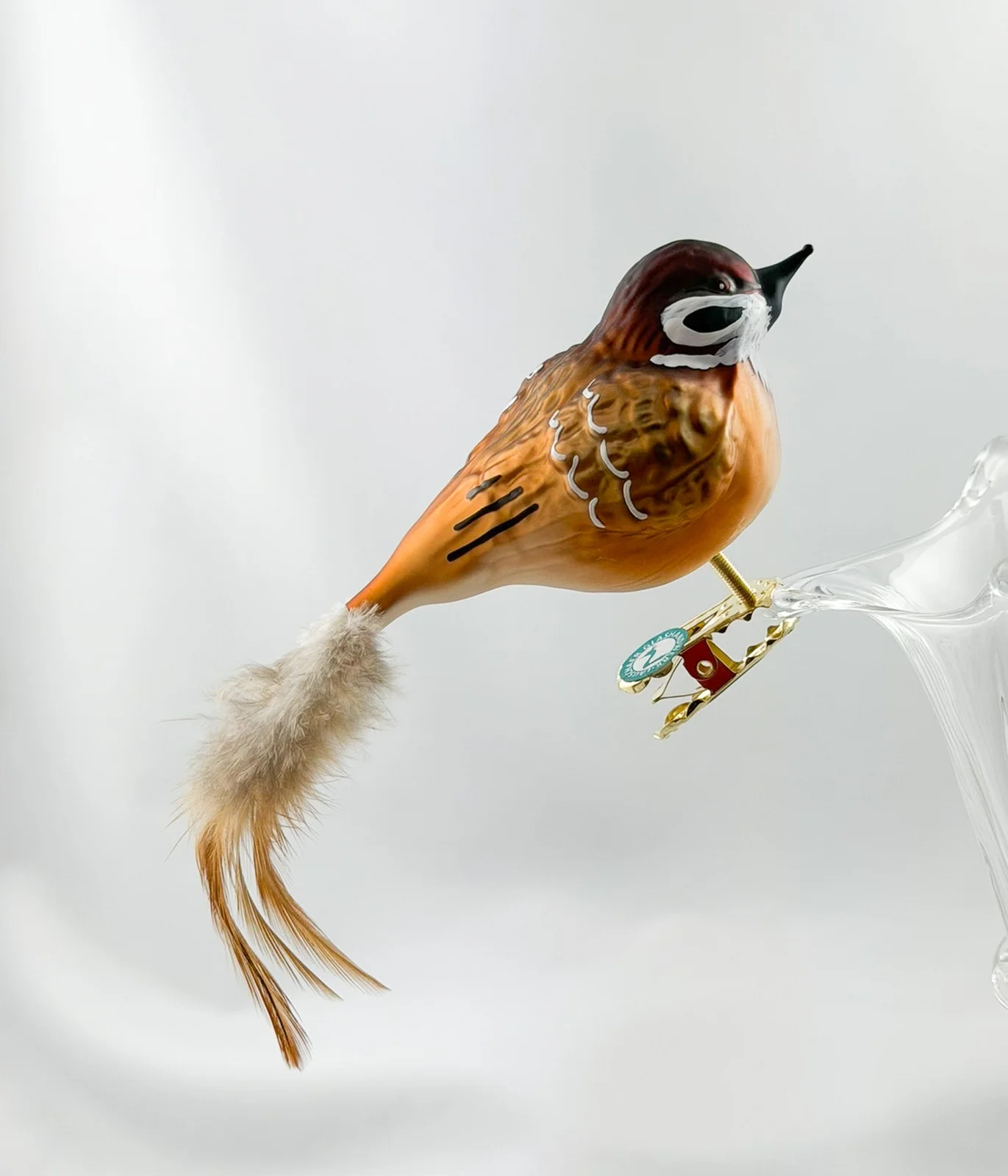 Thüringer Dicker Feld-Sperling, Feld-Spatz mit hellbrauner Naturfeder