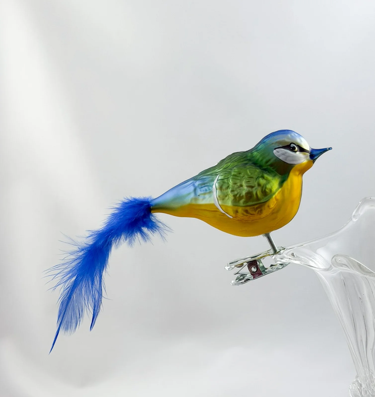 Thüringer Dicke Blaumeise mit blauer Naturfeder