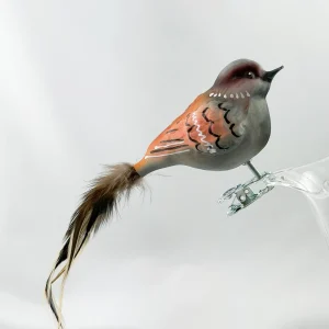 Thüringer Dicker Haus-Sperling, Spatz mit hellbrauner Naturfeder