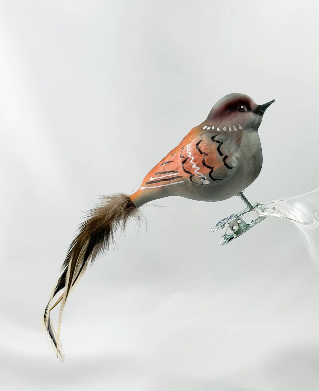 Thüringer Dicker Haus-Sperling, Spatz mit hellbrauner Naturfeder
