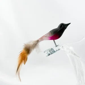 Thüringer Kleiner Rosenbrust-Schnäpper