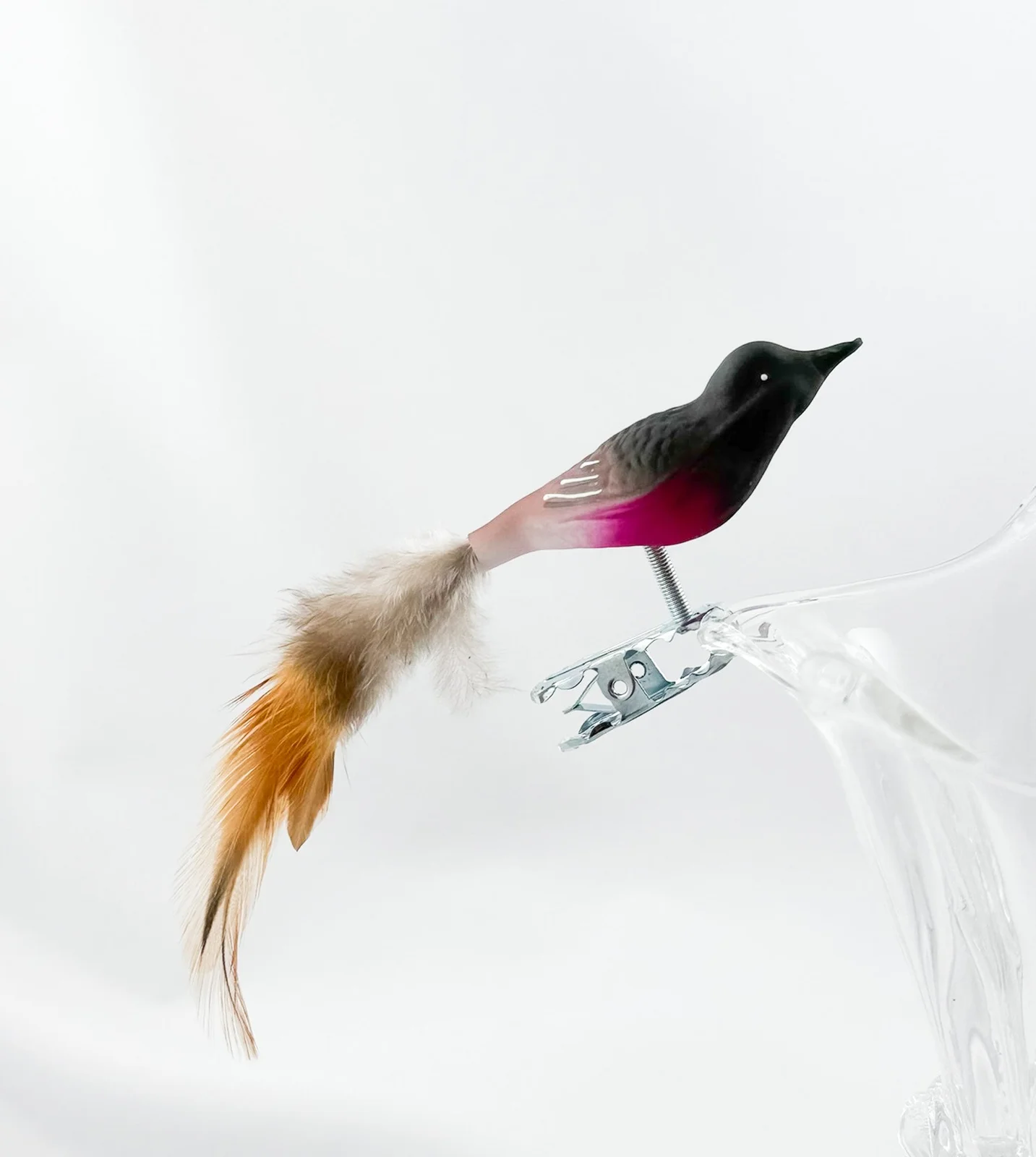 Thüringer Kleiner Rosenbrust-Schnäpper