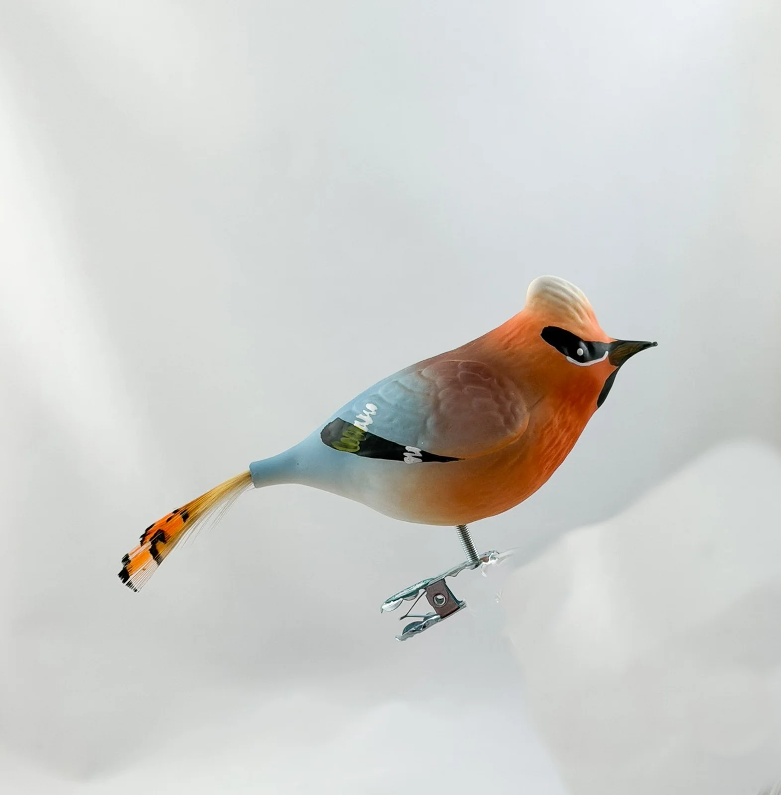 Thüringer Seidenschwanz-Vogel