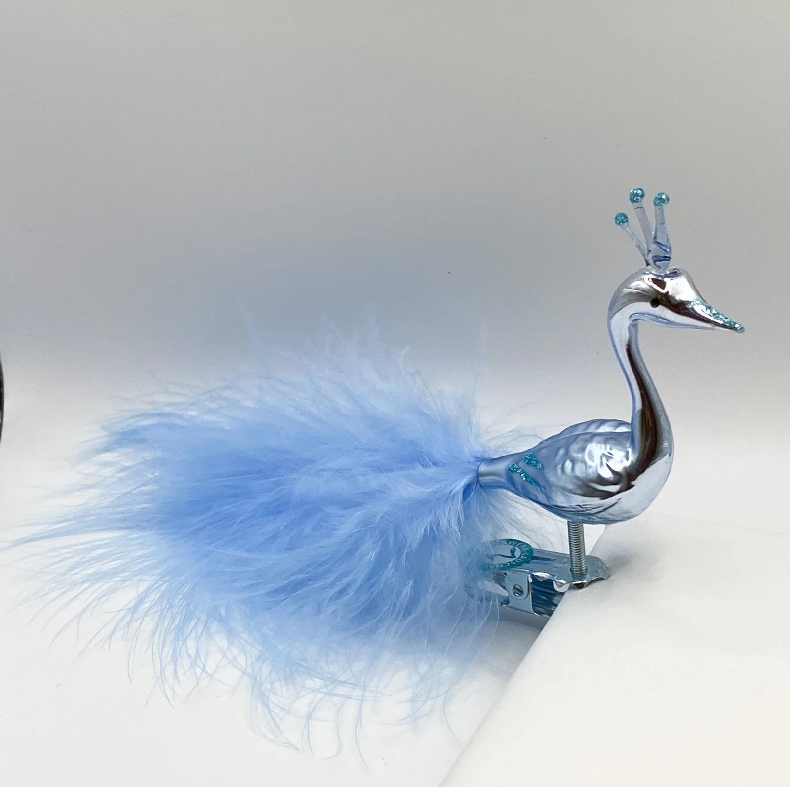 Thüringer Hellblauer Pfau mit Krone und hellblauer Flaumfedern