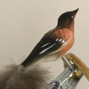 Thüringer Kleiner Bergfink