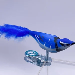Thüringer Kleiner Blauhäher