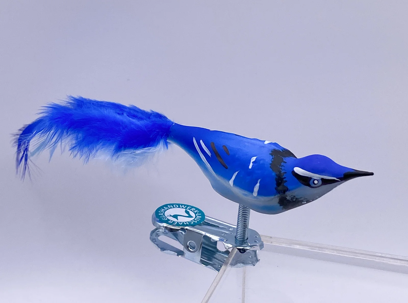 Thüringer Kleiner Blauhäher