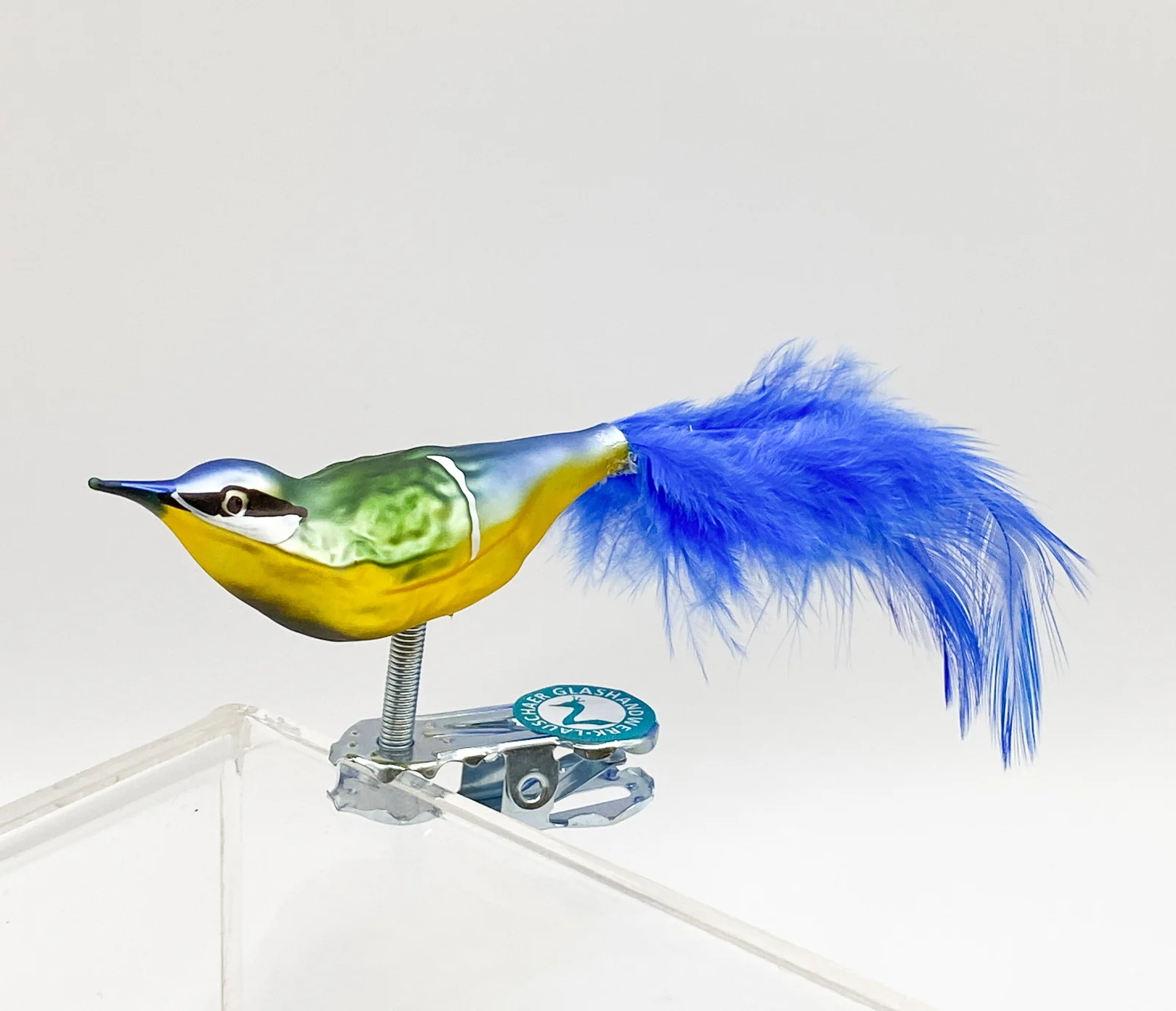 Thüringer Kleine Blaumeise