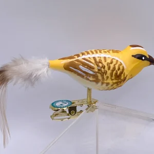 Thüringer Bekassine, Schnepfenvogel