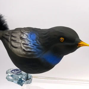 Thüringer Amsel