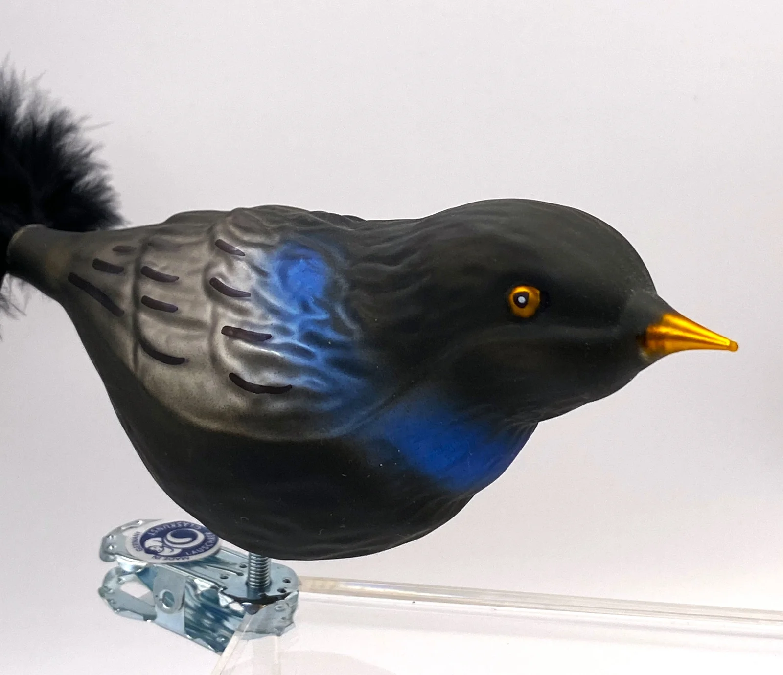 Thüringer Amsel