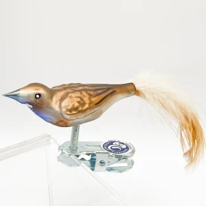 Thüringer Kleines Blaukehlchen