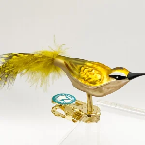 Thüringer Kleines Sommergoldhähnchen