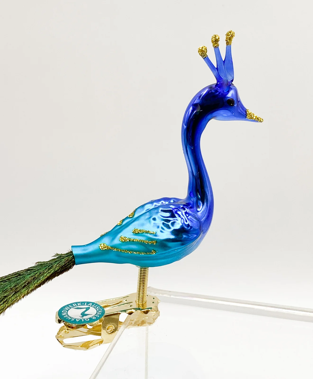 Thüringer Blauer Pfau mit Pfauenfedern