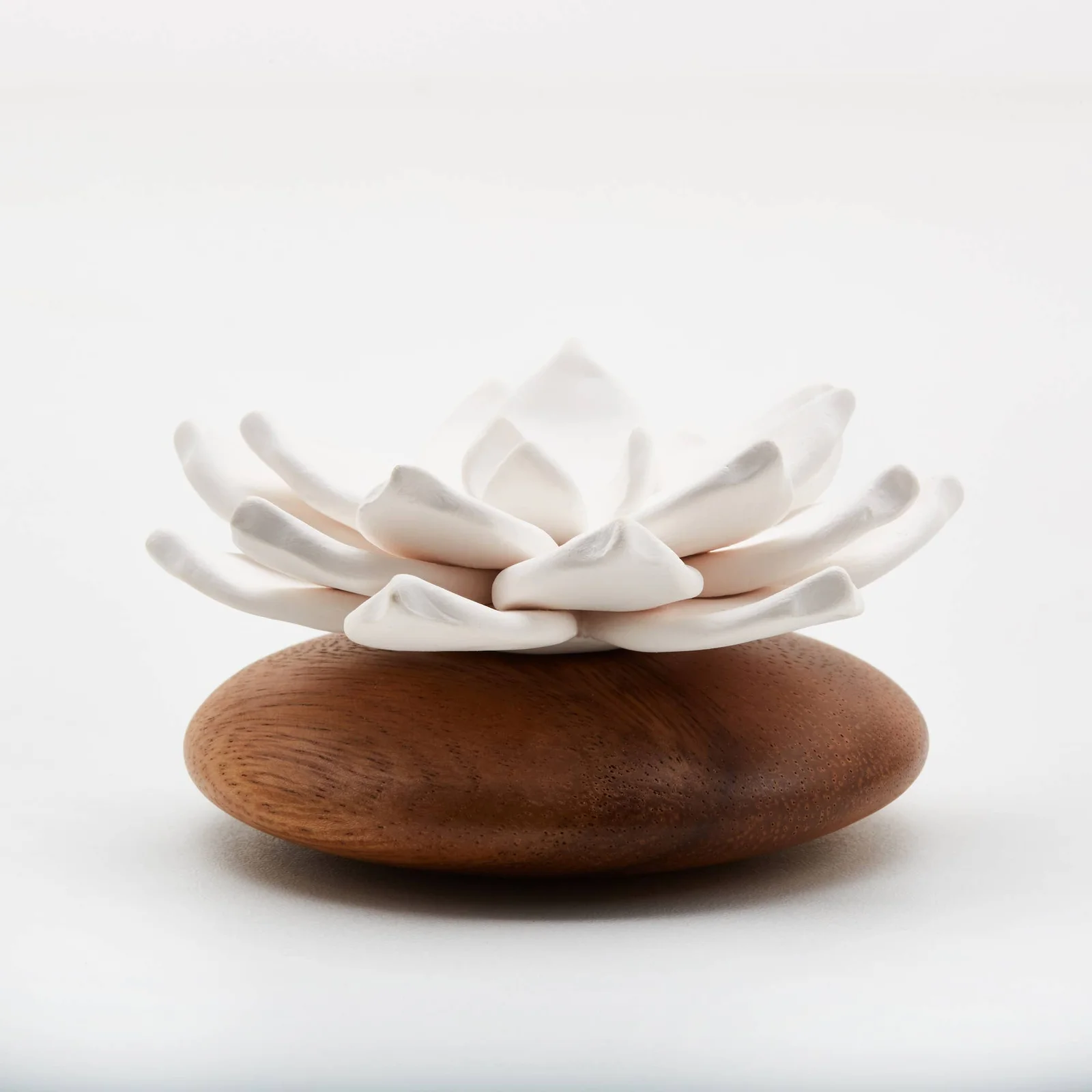 Anoq Star-Diffusor aus Java - Natürlicher Aromadiffusor