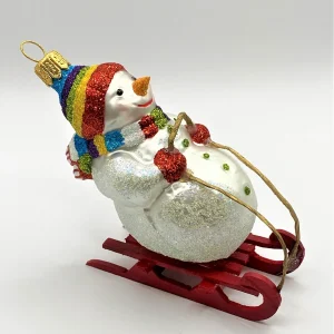 Hanco Schneemann mit bunter Mütze auf Schlitten