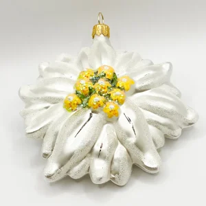Impuls Grosses Edelweiss