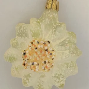 ANVA Edelweiss