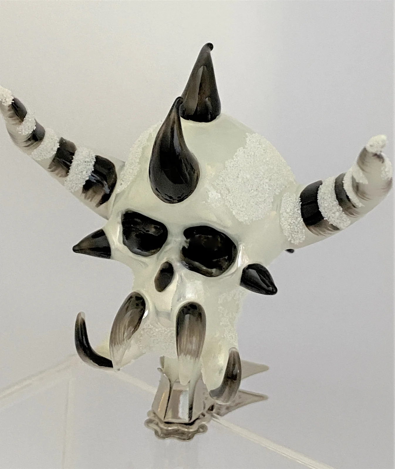 Wiktoria Wilder Skull